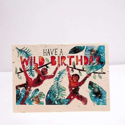 Seeded Plantable Birthday Cards