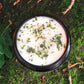Wild Earth Soy Wax Candle